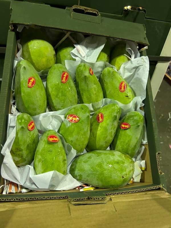 Mangga Mesir from Mesir